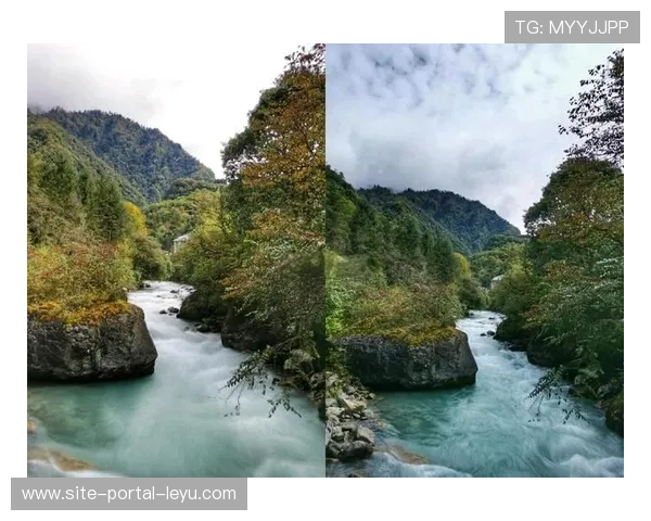 HDR调色工具集成自适应映射，确保多终端显示一致性。